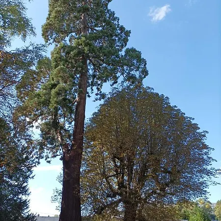 Chateau Le Valasse 度假居 *